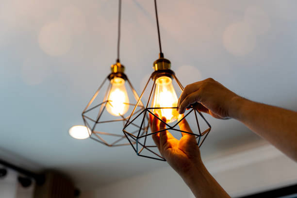 Best Home Electrical Repair  in Shadybrook, TX